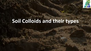 What is a Soil Colloid Its properties and types [upl. by Limhaj]