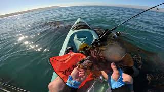 First Time Kayak Fishing for Rockfish [upl. by Odrawde796]