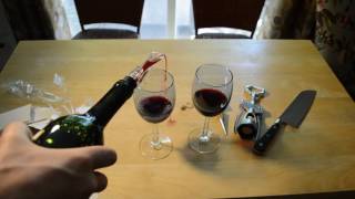 Tedren Wine Aerator Pourer Gadget Review [upl. by Wojak]