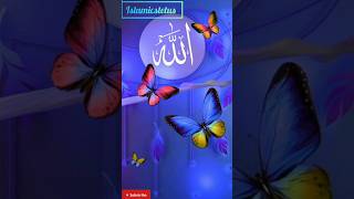 albakara youtubeshorts urdusadpoetryurdulovers islamicphrase vairalshort [upl. by Mitzie]