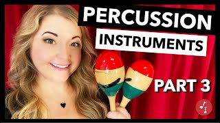 SingAlong Songs for Kids  Play Percussion Instruments  Little School of Music [upl. by Niarb145]