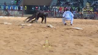 Combat bou bari Thiow Boy Faye Vs Tony Jr Estce que dièl amna [upl. by Yffat]