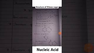 nucleicacid Structure of purinStructure of pyrimidinepolynucleotidesrnaprocessing nucleosides [upl. by Bowne442]