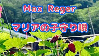 Maria Wiegenlied  Max Reger  YAMAHA No5 Reed Organ  マリアの子守唄 [upl. by Nalla]