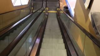 How to ride an escalator [upl. by Dasha]