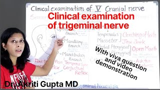 Examination of fifth  trigeminal  cranial nerve II Clinical examination [upl. by Aisan]