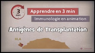 32◽ Antigènes de transplantation [upl. by Annailuj729]