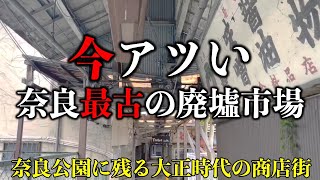 【裏奈良観光】最古なのに今アツい！奈良公園のすぐそばに渋すぎるレトロ廃墟市場椿井市場奈良公園ディープスポット穴場おすすめ散歩 [upl. by Healy449]