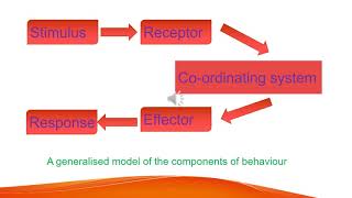 Biology Grade 12 unit 5 Part 1 [upl. by Gniw]