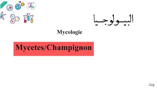 درس ميكولوجي  L3  Microbiologie Mycologie MycetesChampignon [upl. by Enoyrt902]