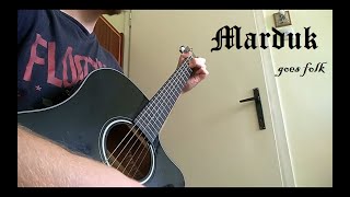 Acoustic Marduk  The Blond Beast Instrumental cover [upl. by Dominic]