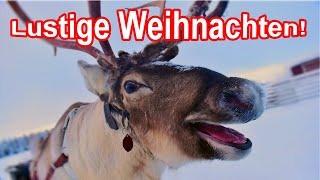 Lustige amp witzige Weihnachten sowie ein Frohes Fest  Frohe Weihnacht Jetzt gibts was zum Lachen [upl. by Annig]