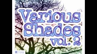 Ted Jood  Follow Your Soul Various Shades Vol2  Deeper Shades Rec DSOH025 [upl. by Groos475]