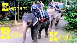 Elephant  Kumily  Kerala  India Video 177 shailpoints travel funvacation elephant vacation [upl. by Aleras879]