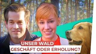 Unser Wald  Geschäft oder Erholung [upl. by Eniroc73]