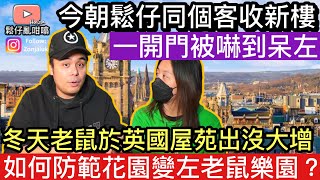 鬆仔同個客去修新樓一開門就嚇到呆咗‼️冬天老鼠於英國屋苑出沒氾濫，應該如何防範自己花園變咗老鼠樂園❓￼ [upl. by Assela400]