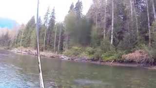 Fly fishing the upper Skagit [upl. by Lim]