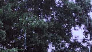 lluvia ultra relajante para dormir Dormir profundo Lluvia Sonidos 30 minutos [upl. by Neelahs]