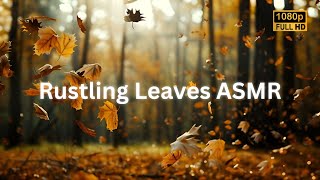 Rustling Leaves ASMR  Rustling Leaves Sound Effect  Relaxing Rustling Leaves in a Forest [upl. by Anale]