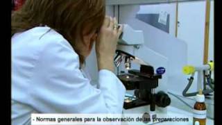 Técnicas Básicas en el Laboratorio de Microbiología Microscopio Óptico [upl. by Stempien860]