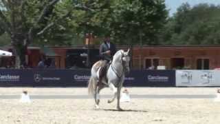 Pedro Torres  Working Equitation [upl. by Luwana]