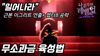 나혼렙 그림자군주 전직 이그리트 까지 공략하기❗무과금 세팅 SSR없으면 ※연출스포주의 [upl. by Notsgnal193]