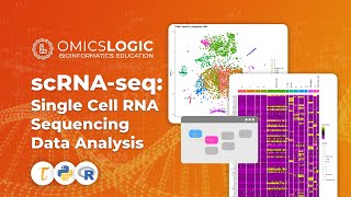 scRNAseq Single Cell RNA Sequencing Data Analysis [upl. by Ytok553]