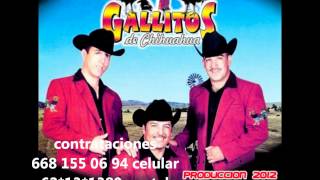 los gallitos de chihuahua  las diferencias 2012wmv [upl. by Jada]