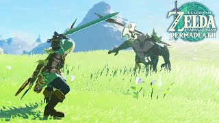 LYNEL SLAPPING Tears of the Kingdom Permadeath Edition [upl. by Lahcsap]