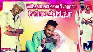 Elemo Abdishakur WalleeAruuzaaBirraafiRaggaatuu New Oromo Music 2020 [upl. by Cristiano]