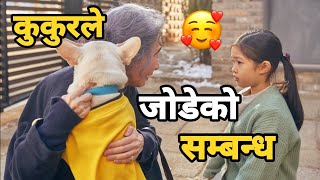 ROMANTIC 😍 Are you a Dog Lover You Must Watch this Movie Korean Movie Explain in Nepali [upl. by Garvey]