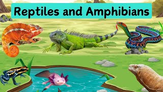 Reptiles and Amphibians  Kids learning  Video about Reptiles amp Amphibians Names in English [upl. by Francesca]