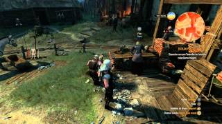 The Witcher 3  Onde encontrar o melhor armeiro nível mestre [upl. by Eriha]