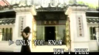 Cant Let Go  Lynda Trang Dai Official MV Lyrics [upl. by Ahcatan]