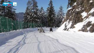 Winter auf dem Wallberg [upl. by Hajar947]