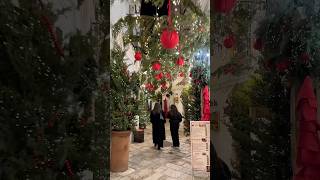 The Good Italian Xmas in Locorotondo ✨🎄🇮🇹 christmas christmasdecor locorotondo christmastree [upl. by Eellah]