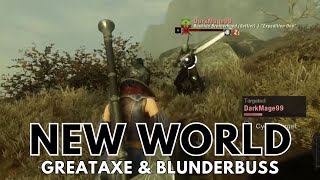 Greataxe  Blunderbuss PVP  New World Aeternum [upl. by Cal498]