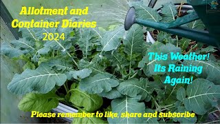 DWW Gardening 2024  This Weather Nothing But Rain [upl. by Julis]