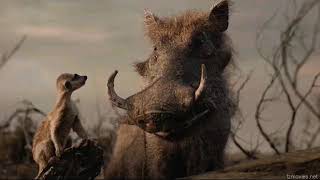 THE LION KING Pumba and Timon vs The hyenas Funniest scene [upl. by Calloway562]