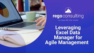 Leveraging Excel Data Manager for Agile Management [upl. by Ennovihc]