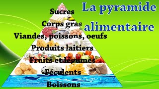 La pyramide alimentaire et les proportions de nourriture par jour [upl. by Reine858]