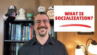 What is Socialization [upl. by Flavia]