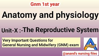 Gnm 1st year Anatomy and physiology UnitX Reproductive System Questions for exam [upl. by Ymmit]