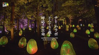 チームラボ どんぐりの森の呼応する生命  teamLab Resonating Life in the Acorn Forest [upl. by Knick]