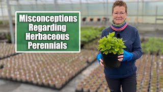 Common Misconceptions About Herbaceous Perennials  Excellent Options for the Garden Border [upl. by Yltneb238]