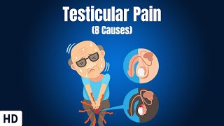 8 Causes Of Testicular Pain [upl. by Lamori]