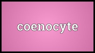 Coenocyte Meaning [upl. by Brett360]