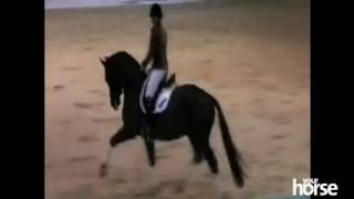 5 years old Valegro amp Charlotte Dujardin  Your Horse Live Clinic [upl. by Dixie]