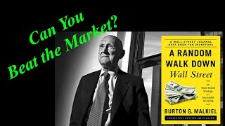 The Random Walk Theory Explained A Random Walk Down Wall Street Audiobook Ch 6 Sum Burton Malkiel [upl. by Itirahc]