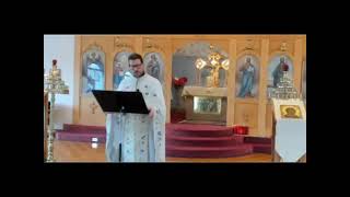 2021 2 14 Fr Stephen Mathewes Sermon [upl. by Eeuqram125]